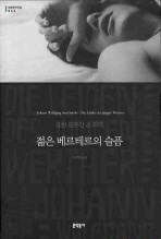 젊은 베르테르의 슬픔 (보급판) (문학동네 세계문학전집 042)